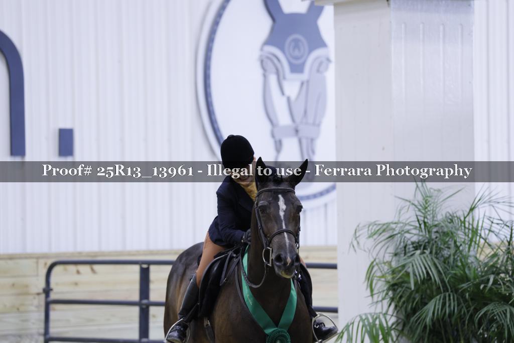 Proof Number 25R13_13961