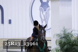 25R13_13961 thumbnail