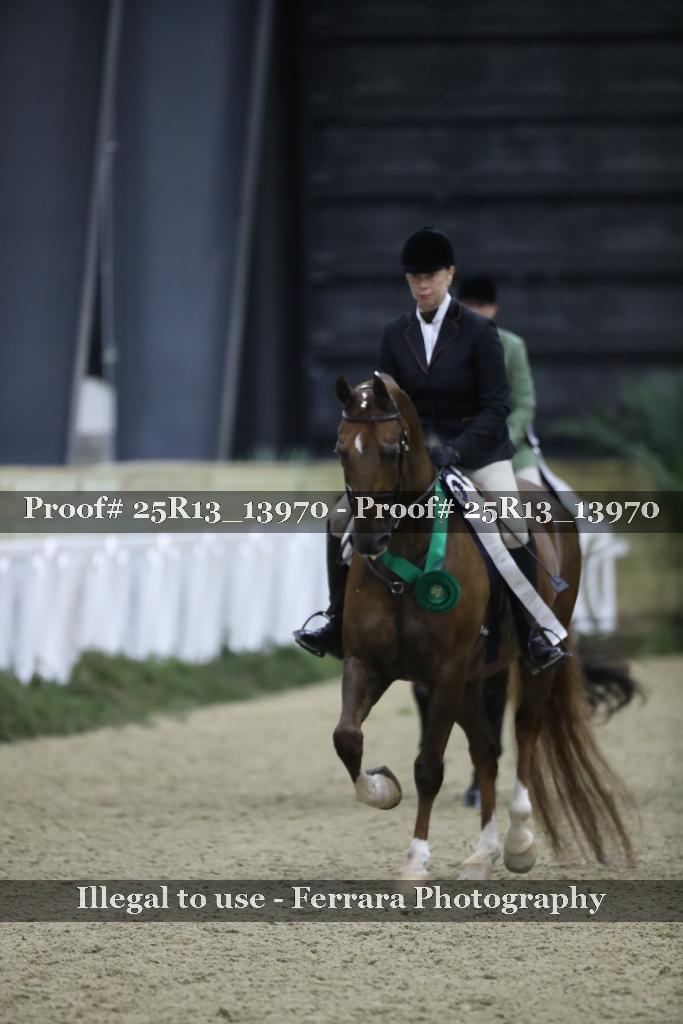 Proof Number 25R13_13970