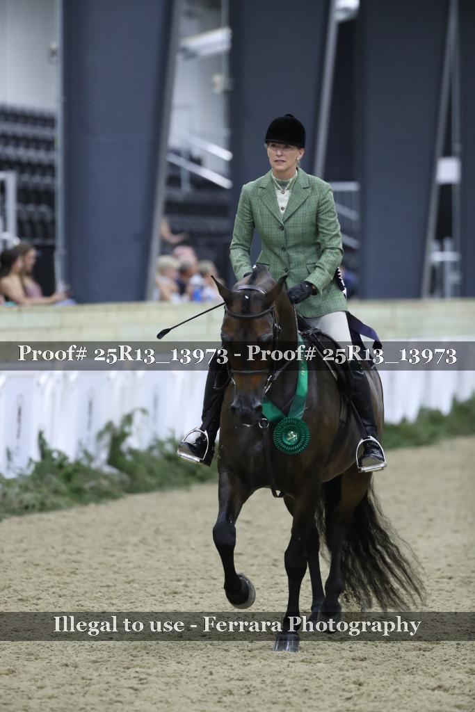 Proof Number 25R13_13973