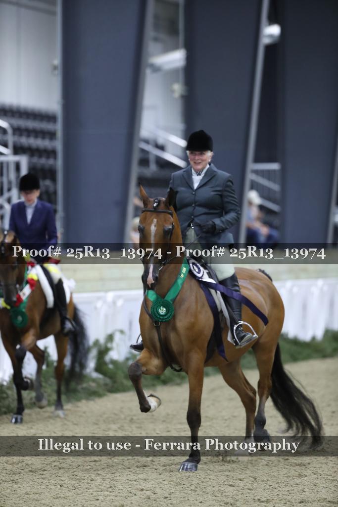 Proof Number 25R13_13974