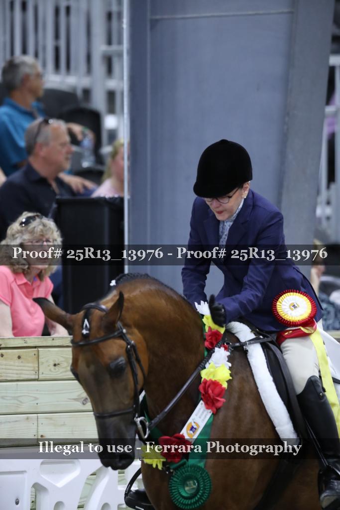 Proof Number 25R13_13976