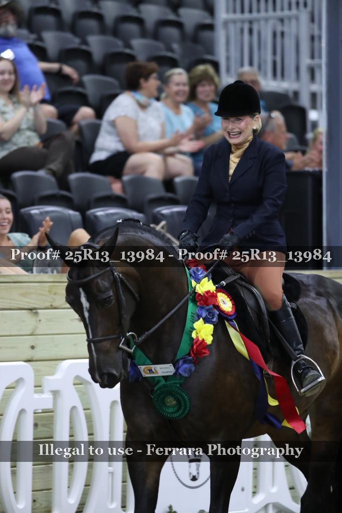 Proof Number 25R13_13984