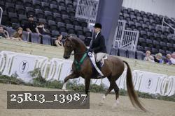 25R13_13987 thumbnail
