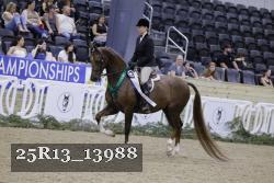 25R13_13988 thumbnail