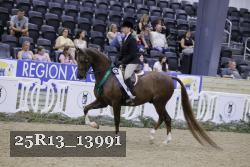 25R13_13991 thumbnail