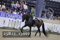 25R13_13992 thumbnail
