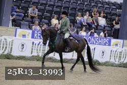 25R13_13993 thumbnail