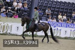 25R13_13994 thumbnail