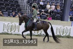 25R13_13995 thumbnail