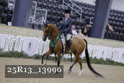 25R13_13996 thumbnail