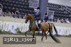 25R13_13997 thumbnail