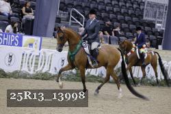 25R13_13998 thumbnail
