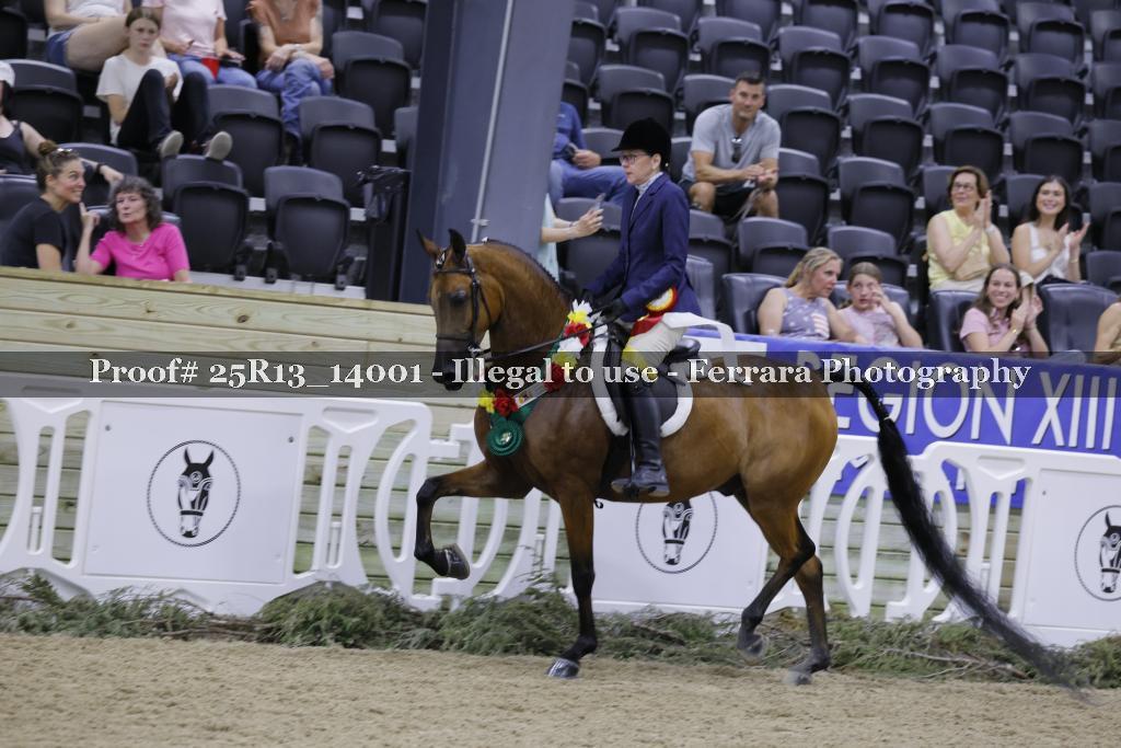 Proof Number 25R13_14001