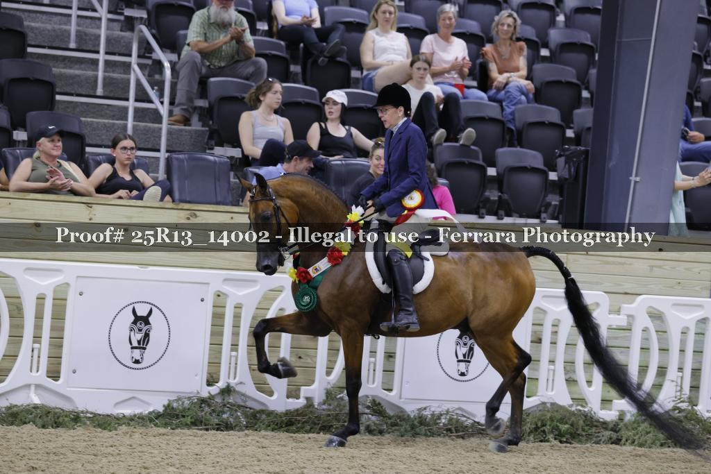 Proof Number 25R13_14002