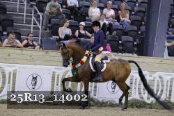 25R13_14002 thumbnail