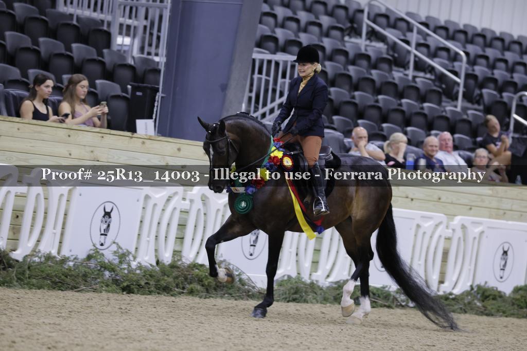 Proof Number 25R13_14003
