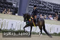 25R13_14003 thumbnail