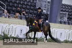 25R13_14004 thumbnail