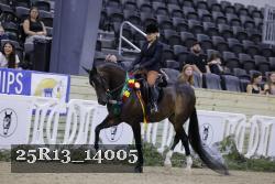 25R13_14005 thumbnail
