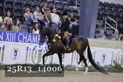 25R13_14006 thumbnail