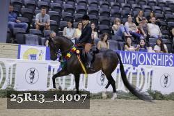 25R13_14007 thumbnail