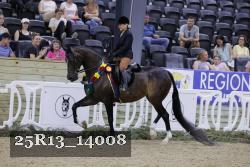 25R13_14008 thumbnail