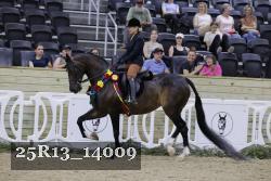 25R13_14009 thumbnail