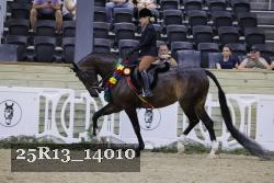 25R13_14010 thumbnail