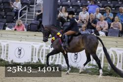 25R13_14011 thumbnail