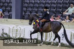25R13_14012 thumbnail