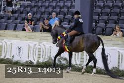 25R13_14013 thumbnail