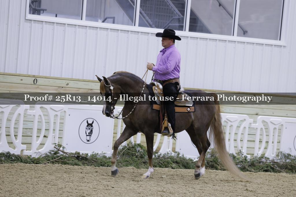 Proof Number 25R13_14014