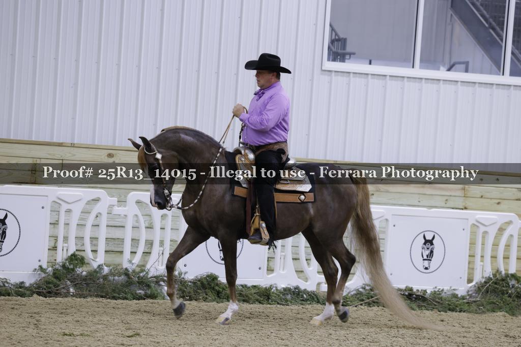 Proof Number 25R13_14015
