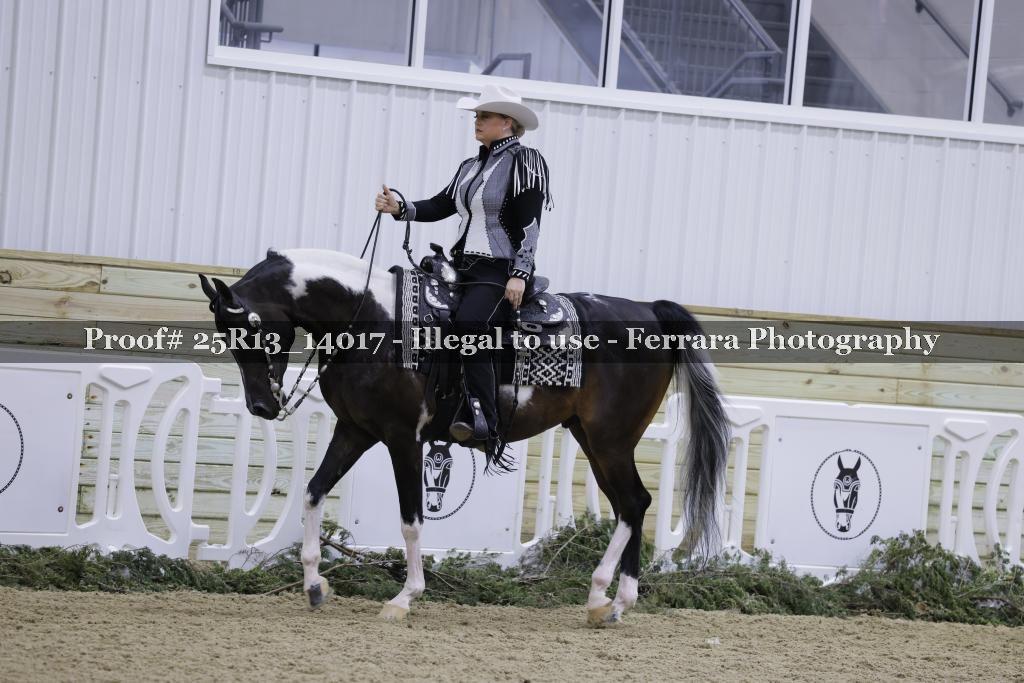 Proof Number 25R13_14017