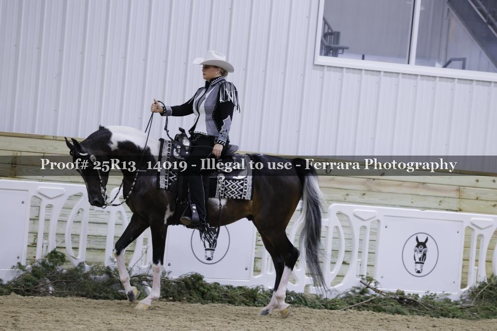 Proof Number 25R13_14019