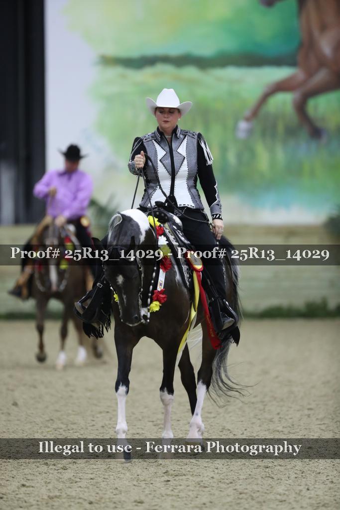 Proof Number 25R13_14029