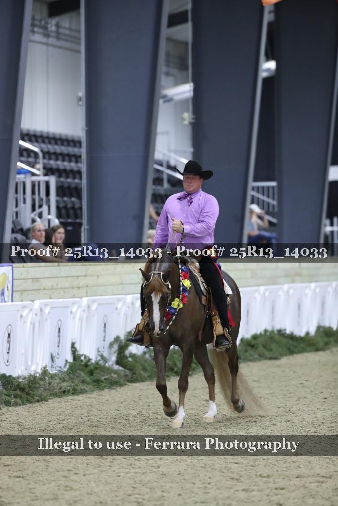 Proof Number 25R13_14033
