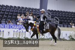 25R13_14040 thumbnail