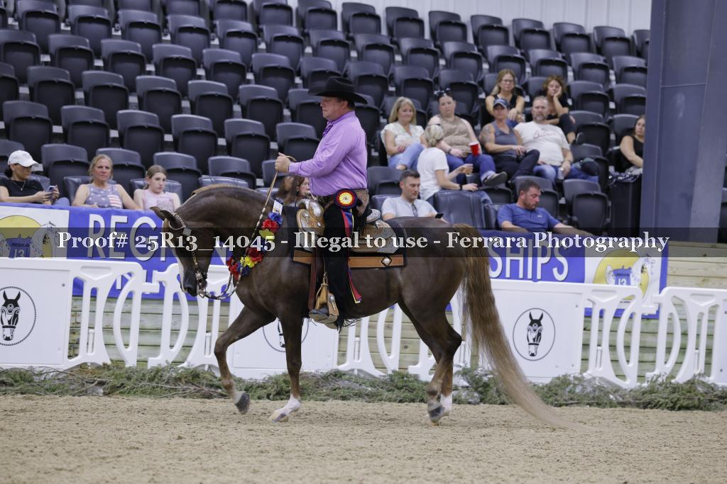 Proof Number 25R13_14045