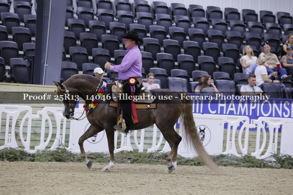 Proof Number 25R13_14046
