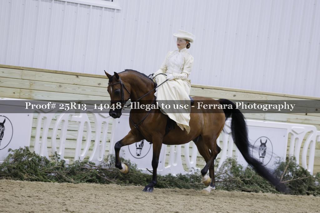 Proof Number 25R13_14048