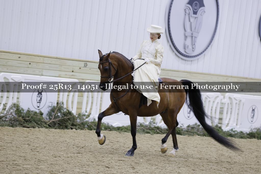 Proof Number 25R13_14051