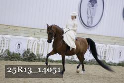 25R13_14051 thumbnail