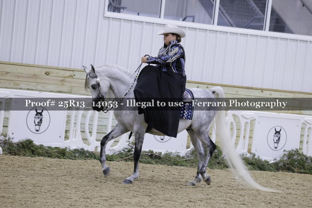 Proof Number 25R13_14053