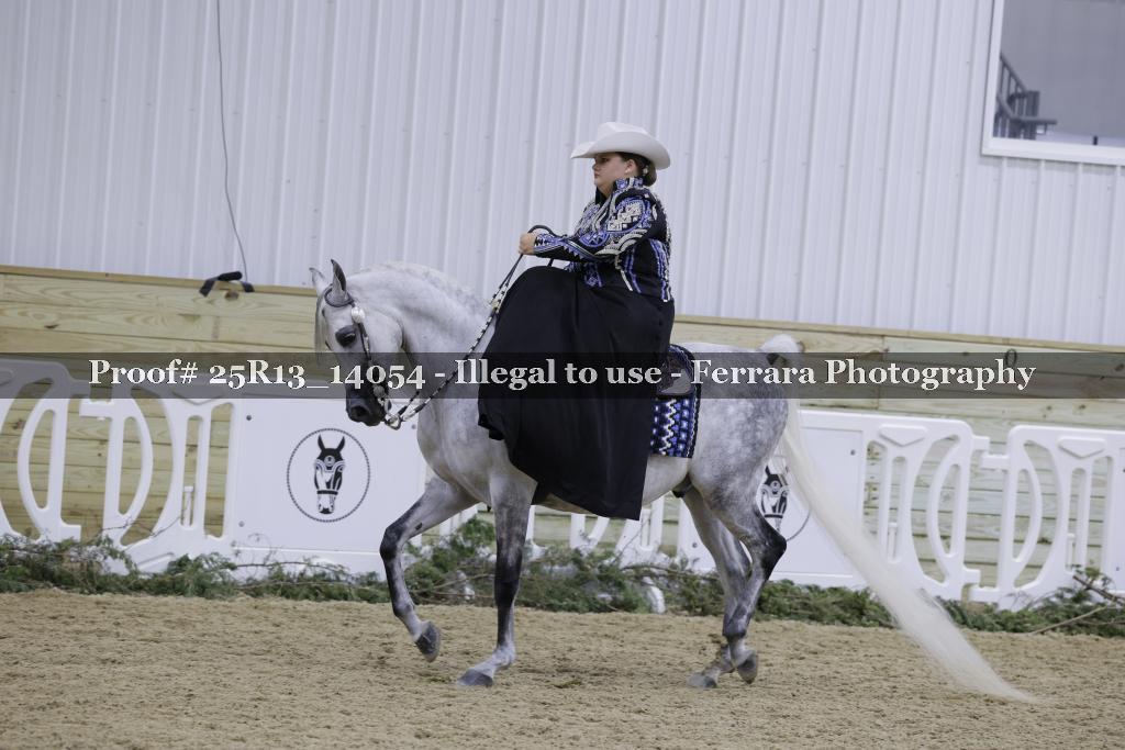 Proof Number 25R13_14054
