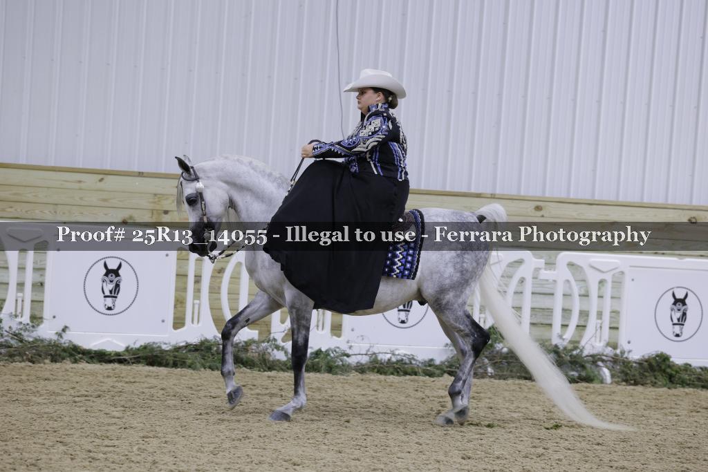 Proof Number 25R13_14055