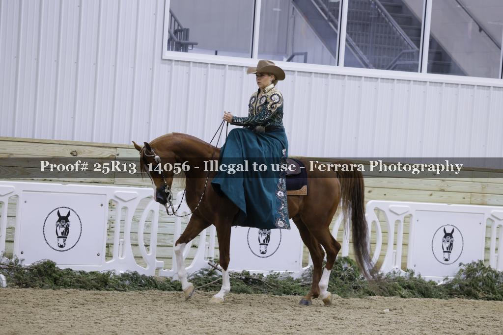 Proof Number 25R13_14056