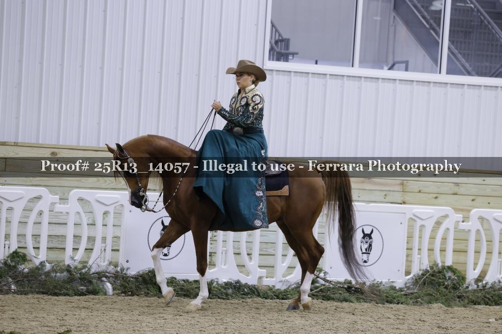 Proof Number 25R13_14057