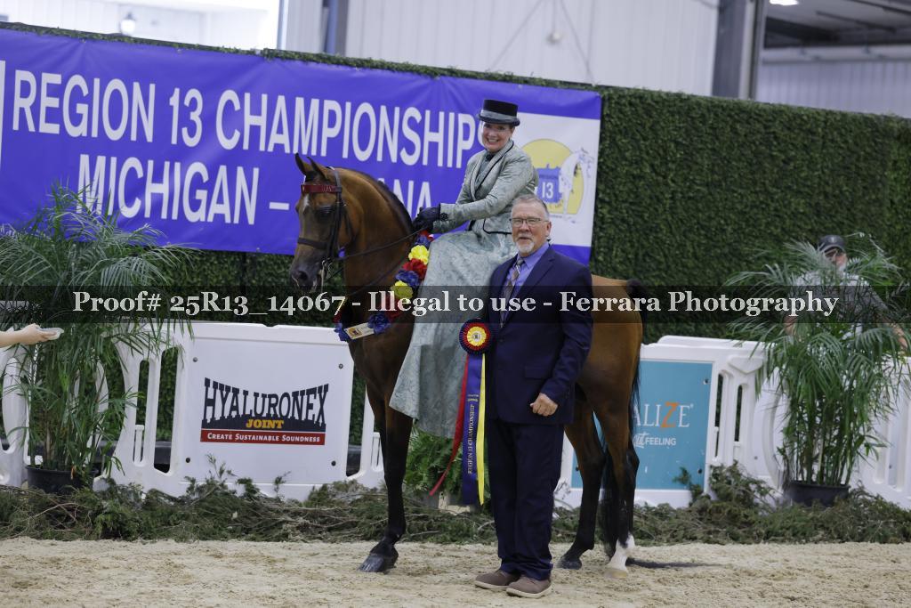 Proof Number 25R13_14067